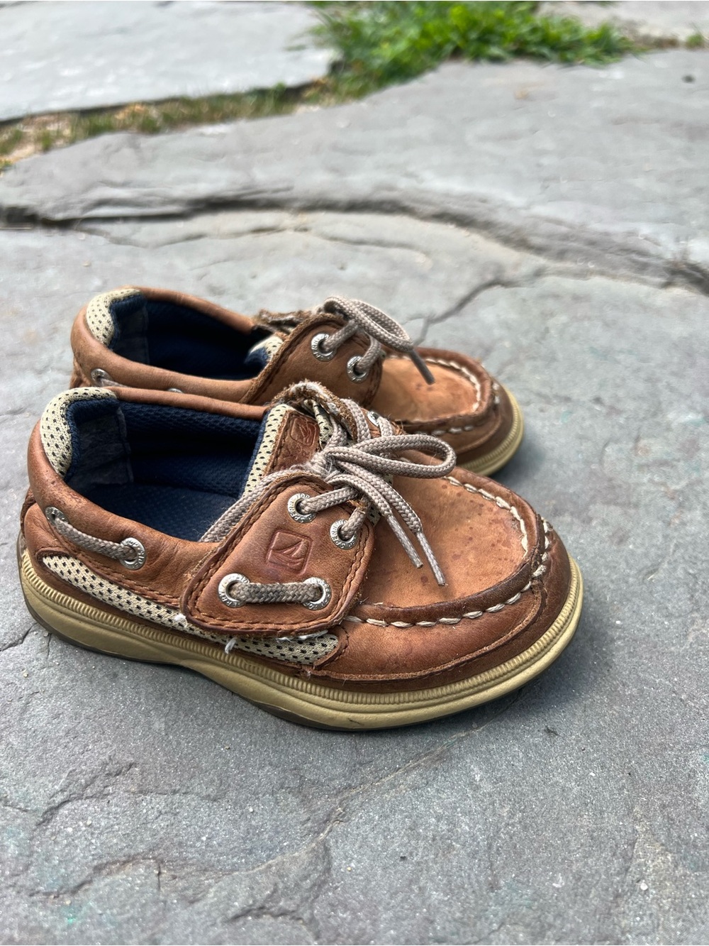 Toddler Sperry Topsider